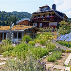 Haus Sonne im Sommer mit Blick auf Garten und Solarpanel