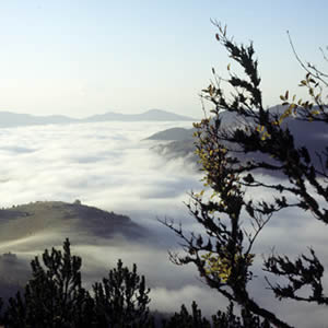 Fernblick vom Belchen