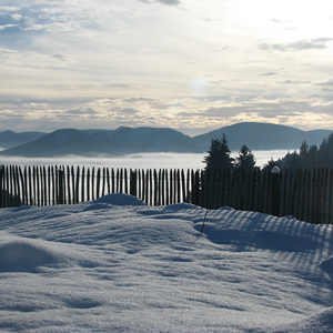 Garten im Winter