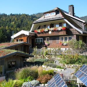 la maison en été