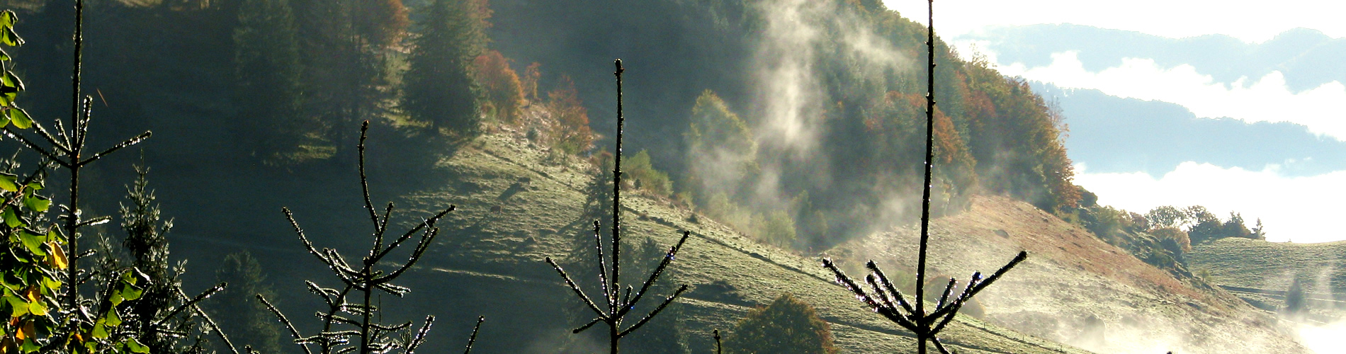 Frühherbst an der Stuhlsebene, Foto: Christian Leppert